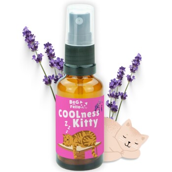 BeG Buddy COOLness Kitty Spray für Katzen, Beruhigung / Entspannung Katze 30ml