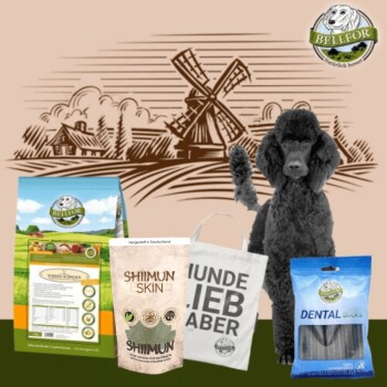 Bellfor Groß Pudel Futter Set