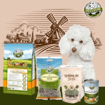 Bellfor Pudel Futter Set