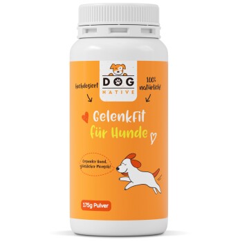 Dog-Native GelenkFit für Hunde, natürliches Gelenkpulver, Gelenk Fit Pulver mit Grünlippmuschel, MSM, Kollagen & Chondroitin für Gelenke & Knochen 175 g