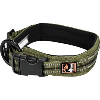 Dogs Creek Halsband Voyager grün S