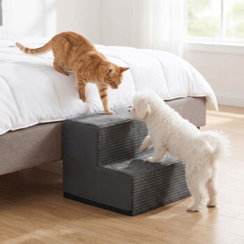 FEANDREA Hundetreppe, 2/3/4/5 Stufen Haustiertreppe aus grauem Cordstoff Waschbar schiefergrau M