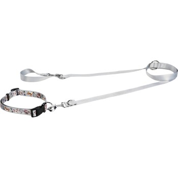 FIT+FUN Halsband+Leine Set hellgrau L