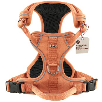 Freudentier Hundegeschirr mit Mesh-Polsterung XL