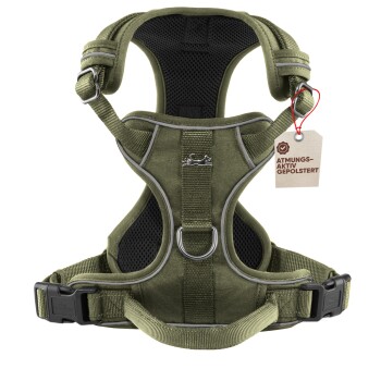 Freudentier Hundegeschirr mit atmungsaktiver Mesh-Polsterung, Anti-Zug-Brustgeschirr M