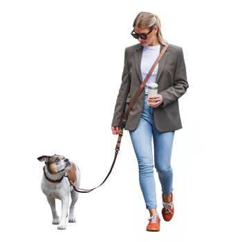 Freudentier UrbanFlow Umhängeleine, Hundeleine 3m braun