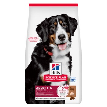 Hill's Science Plan Trockenfutter Hund, Large Breed Adult, mit Lamm und Reis 2x14 kg