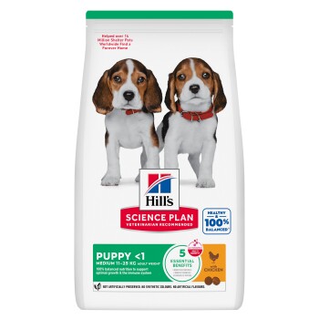 Hill's Science Plan Trockenfutter Hund, Medium Puppy, mit Huhn 2,5 kg
