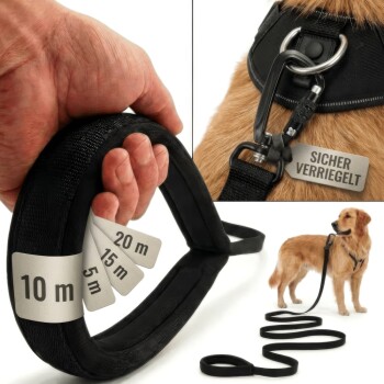 HUND IST KÖNIG ® Hunde Schleppleine mit Sicherheitskarabiner & gepolsterter Handschlaufe 10 m