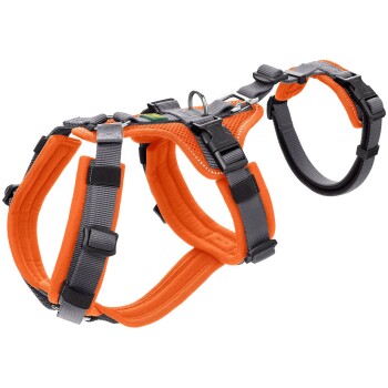 Hunter Sicherheitsgeschirr Maldon orange XS-S