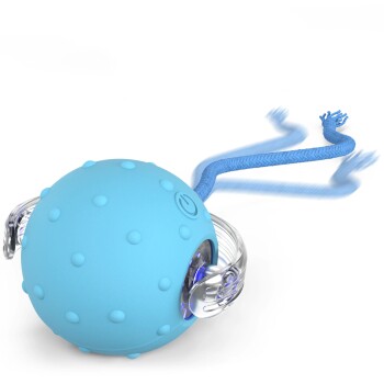 PetTec Interactive Toy Ball 1