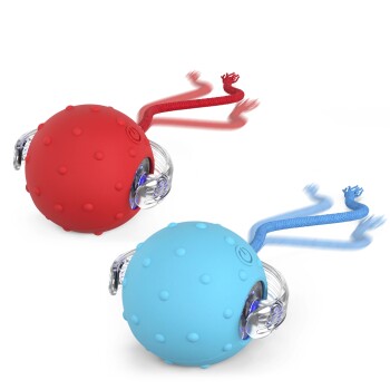 PetTec Interactive Toy Ball 2