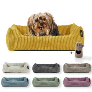 Rohrschneider ® Hundebett waschbar für kleine Hunde mit Hundekissen Cord (ca. 55x42 cm) inkl. Gassibeutel