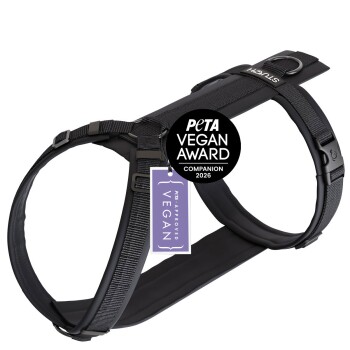STUCH Geschirr Hund gepolstert schwarz XS