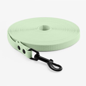 THE DOG IDEA Schleppleine Mint 5 m