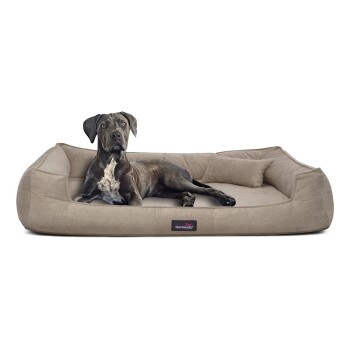 Tierlando BRUCE VELOURS - Orthopädisches Hundebett Soft beige 1,1 m, 25 cm, 90 cm