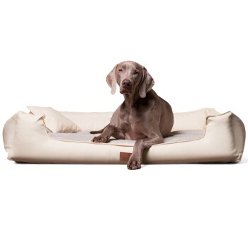 Tierlando ® Nonplusultra LINUS orthopädisches Hundebett Visco PLUS Kunstleder creme 90 cm, 22 cm, 75 cm
