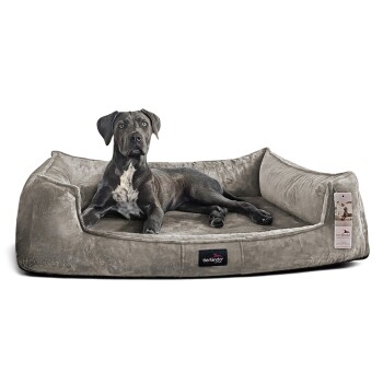 Tierlando ® Orthopädisches Hundebett FRANKLIN Kuscheliger Teddy-Stoff - Hundesofa graphit/nature 1,1 m, 22 cm, 90 cm