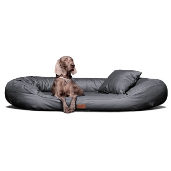Tierlando Orthopädisches Hundebett LENNART VISCO PLUS Kunstleder schwarz/ graphit 1,4 m, 30 cm, 1,05 m