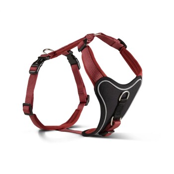 Wolters Professional Comfort Hundegeschirr rot S