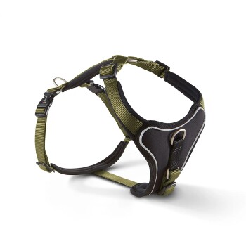 Wolters Professional Comfort Hundegeschirr schwarz/ grün S