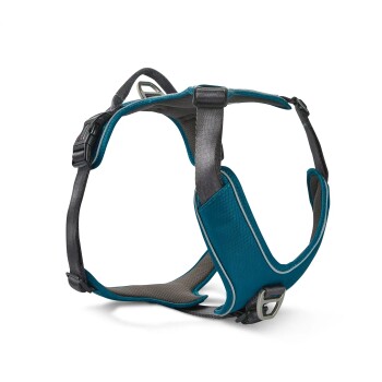 Wolters Active Pro Comfort Hundegeschirr anthrazit / petrol XXS