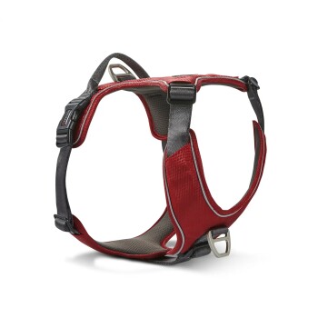 Wolters Active Pro Comfort Hundegeschirr anthrazit/ rot XXS