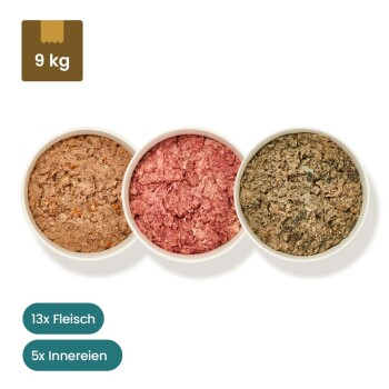 Hund Senior Frostfutter Menü 9 kg