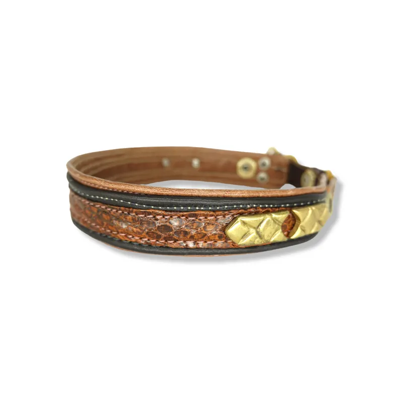 Hundehalsband barna #37