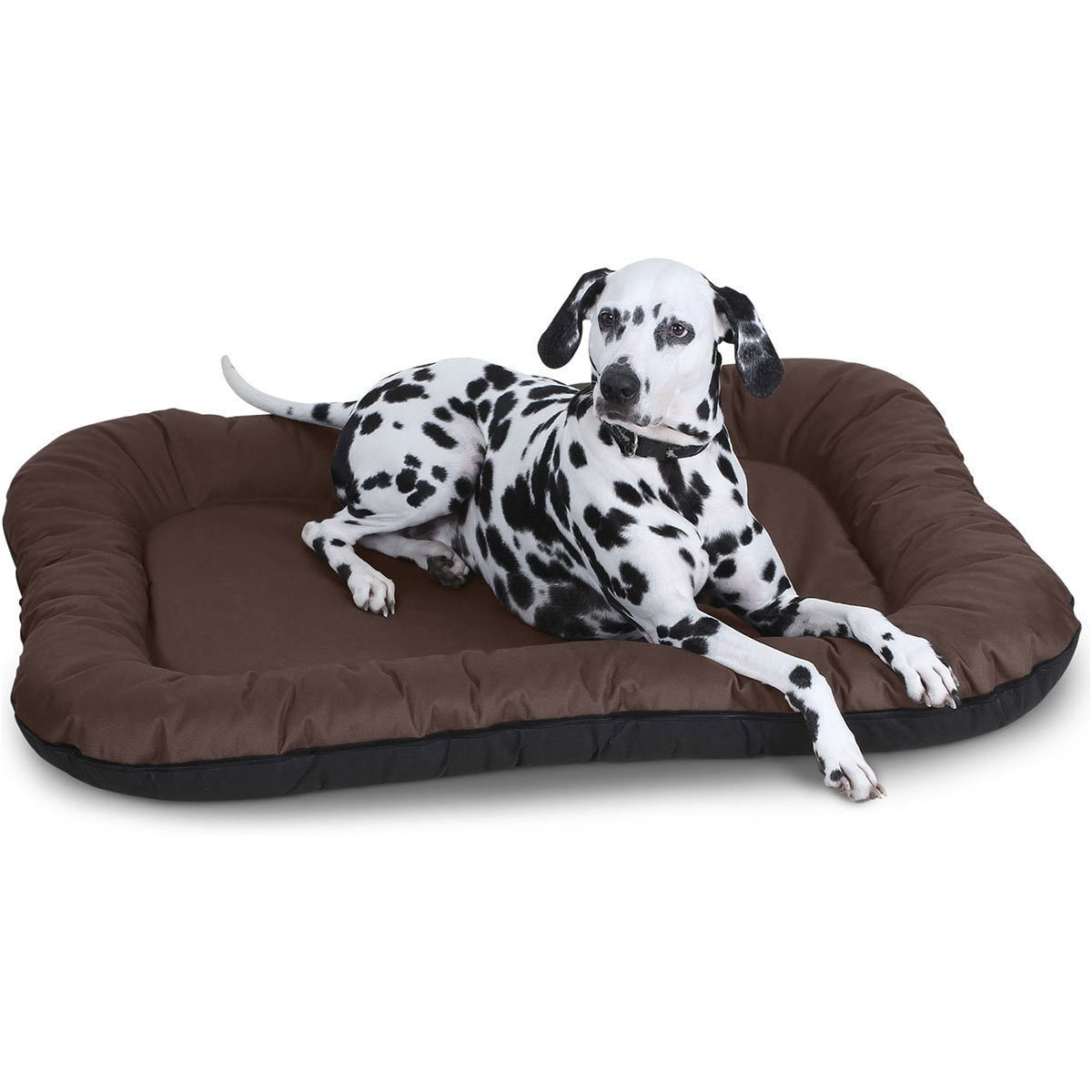 Wasserfestes In und Outdoor Hundebett Lucky aus Nylongewebe XXL 118 x 85cm Braun