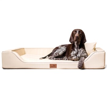 Tierlando MELODY LATEX - Orthopädisches LUXUS-Hundebett mit Anti-Haar Kunstleder creme 1 m, 22 cm, 75 cm
