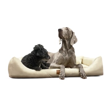 Tierlando ® Orthopädisches Hundebett WILLIAM Easy-Clean | Luxus Hundesofa creme 1,3 m, 22 cm, 1 m