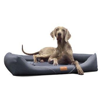 Tierlando ® Orthopädisches Hundebett WILLIAM Easy-Clean | Luxus Hundesofa schwarz/ graphit 1,3 m, 22 cm, 1 m
