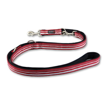 Wolters Active Pro Führleine Hundeleine rot/ silber XL