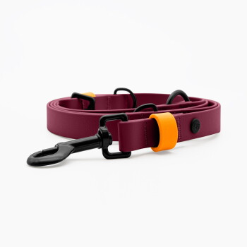 THE DOG IDEA Biothane Hundeleine Bordeaux S